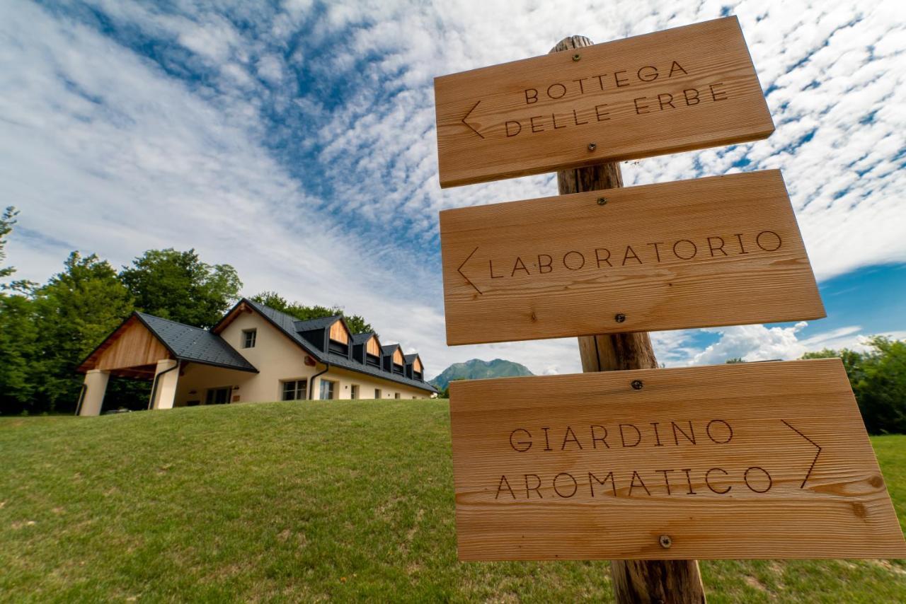 Loft Naturalpina Dolomiti Farm 贝卢诺 外观 照片
