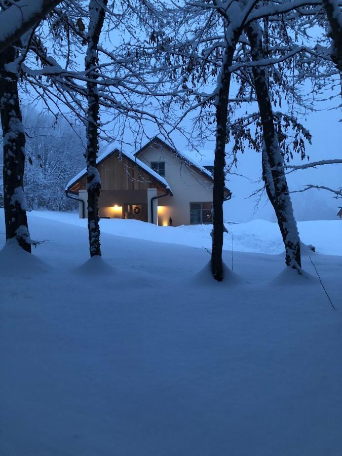 Loft Naturalpina Dolomiti Farm 贝卢诺 外观 照片