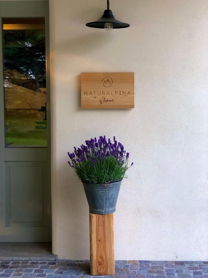 Loft Naturalpina Dolomiti Farm 贝卢诺 外观 照片