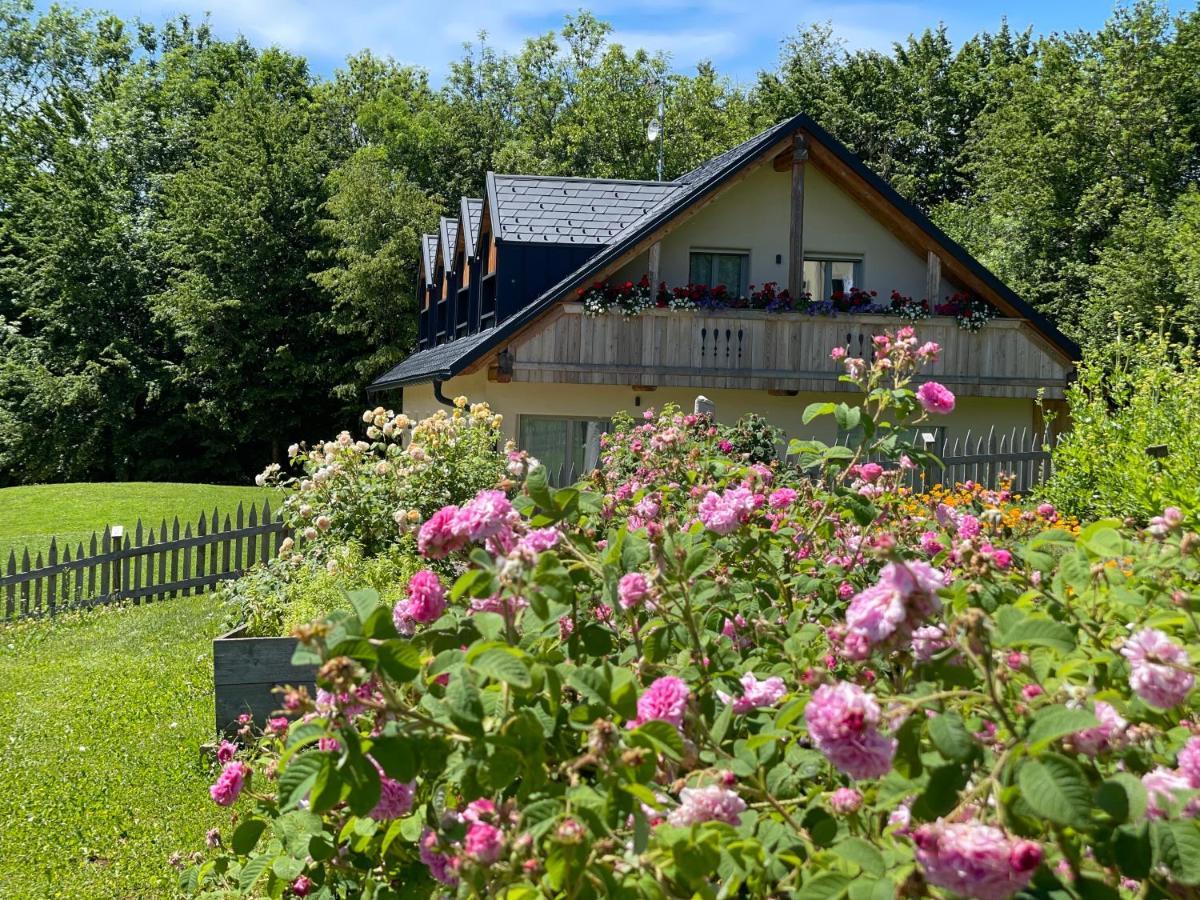 Loft Naturalpina Dolomiti Farm 贝卢诺 外观 照片